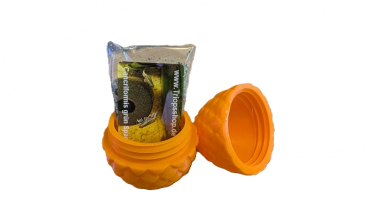 Triops Drachenei Orange